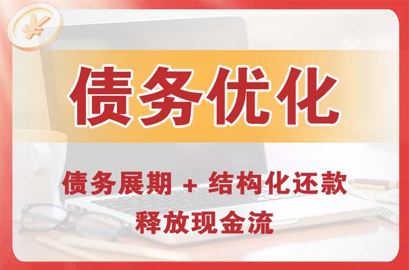 新华债务优化